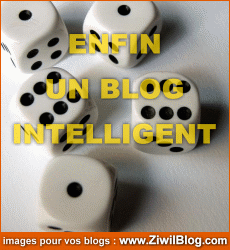 Blog